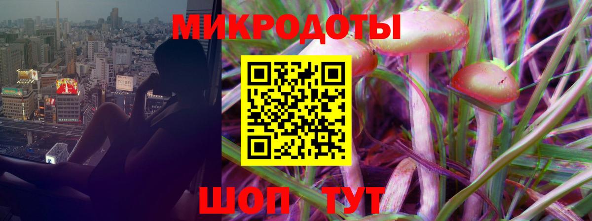 Галлюциногенные грибы Cubensis Кохма